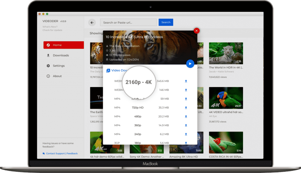 4k video downloader bookmark