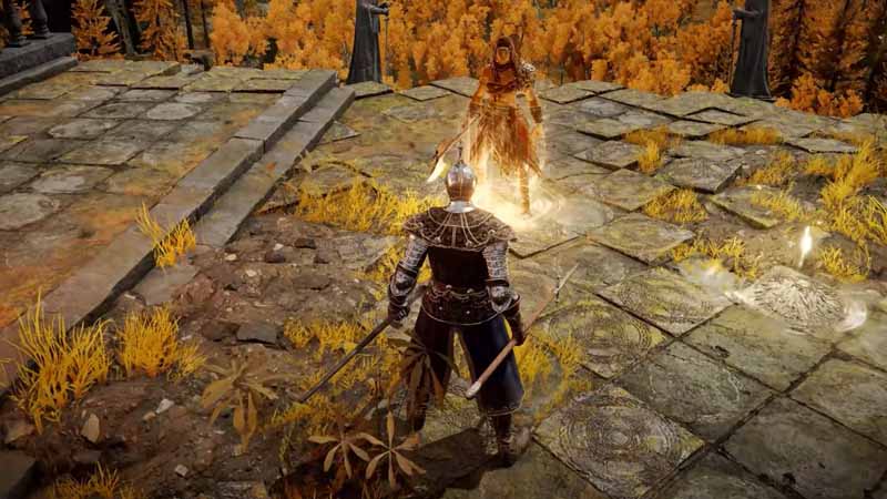 elden-ring-is-fun-specially-in-multiplayer