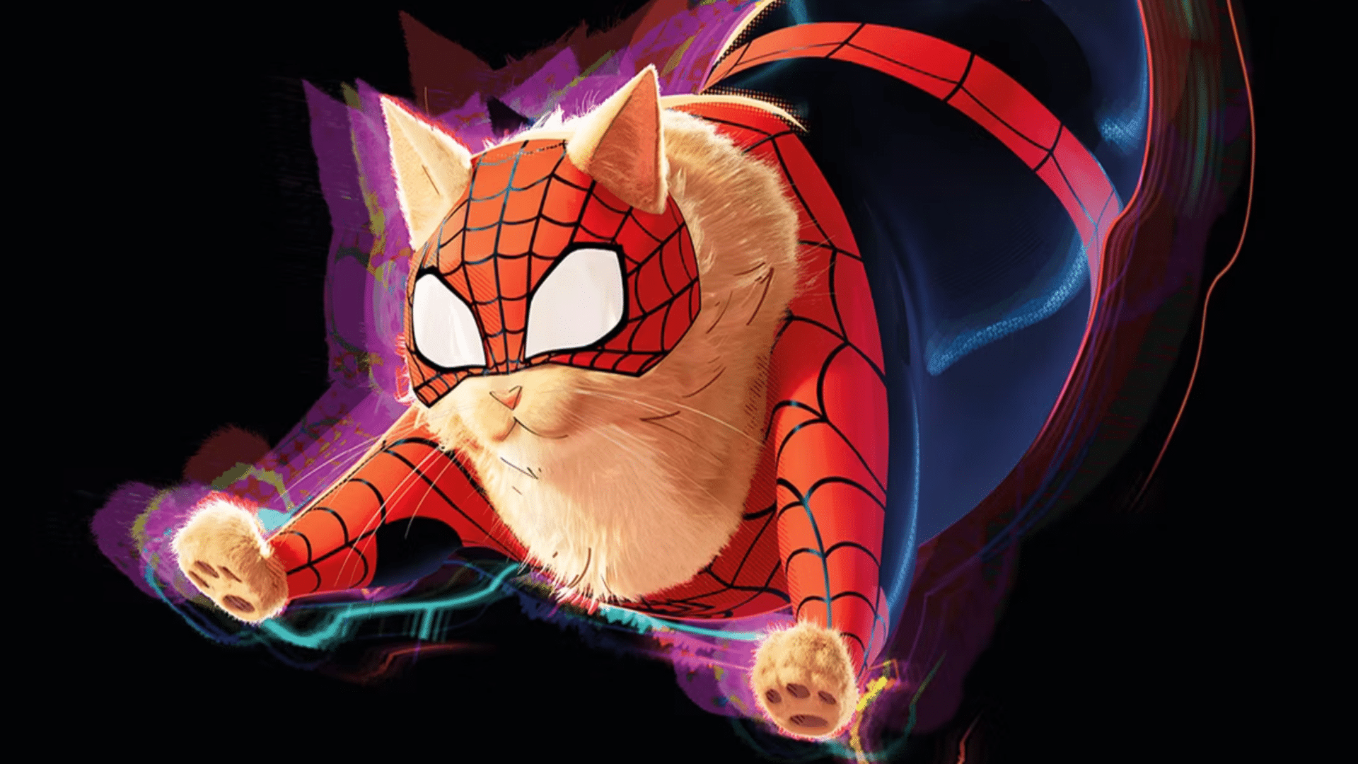 Spider cat in Spiderman :Across the Spider Verse