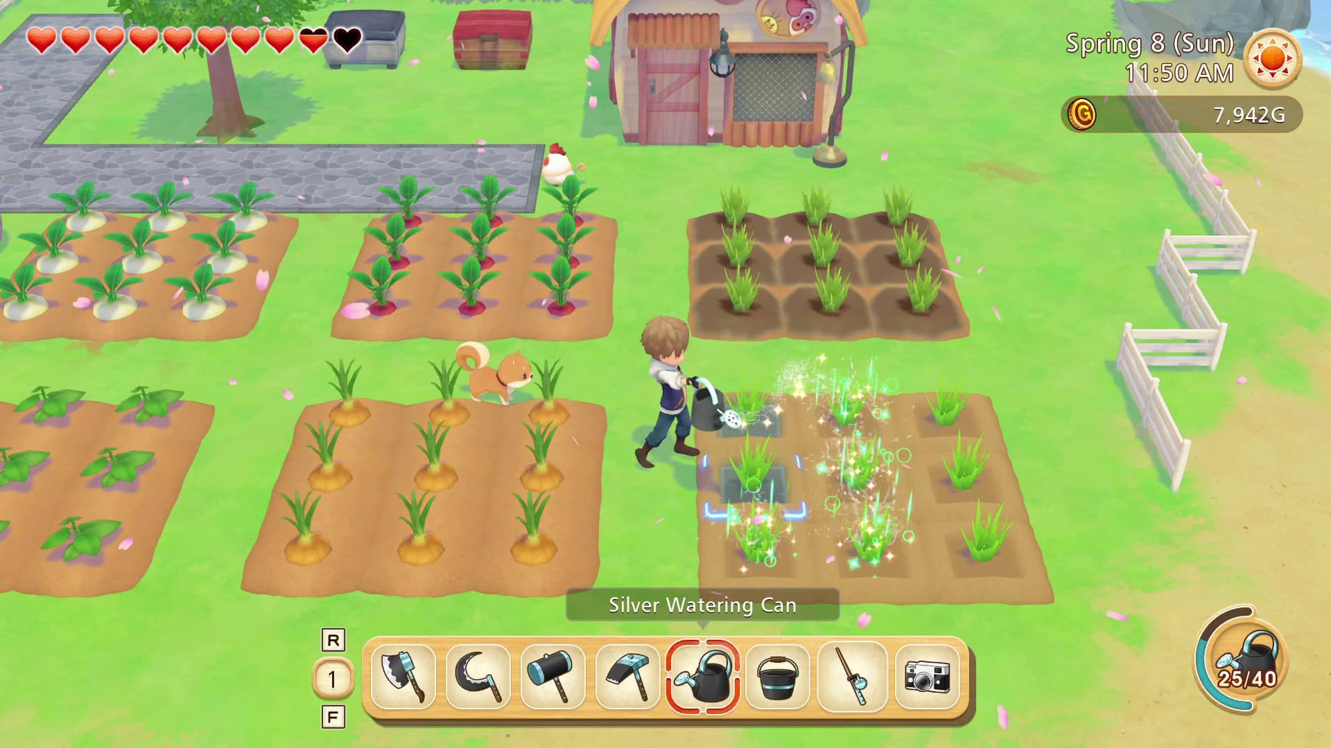Player character watering the crops followed by pet dog